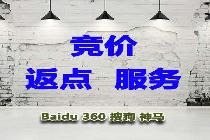 某品牌SEM代运营的成长历程与启示